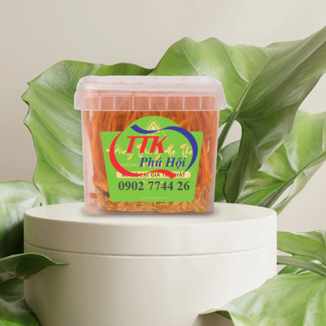 Hộp nhựa trưng bày đông trùng