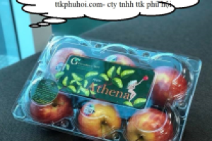 HỘP NHỰA ĐỰNG TRÁI CÂY