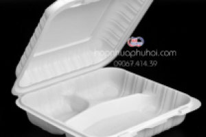 HỘP NHỰA ĐỰNG CƠM