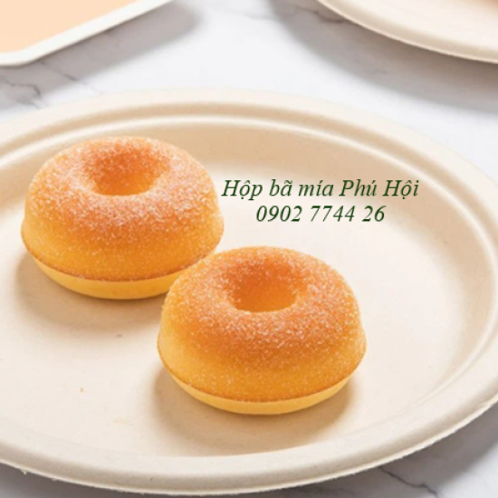 Đĩa bã mía phi  Ø 20.5*16mm tại Quận Tân Phú TP HCM
