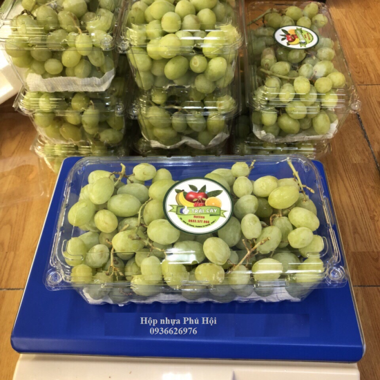 HỘP NHỰA ĐỰNG TRÁI CÂY 1KG P1000A