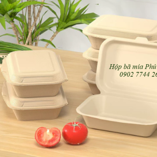 Hộp bã mía 1 ngăn nắp liền 450ml