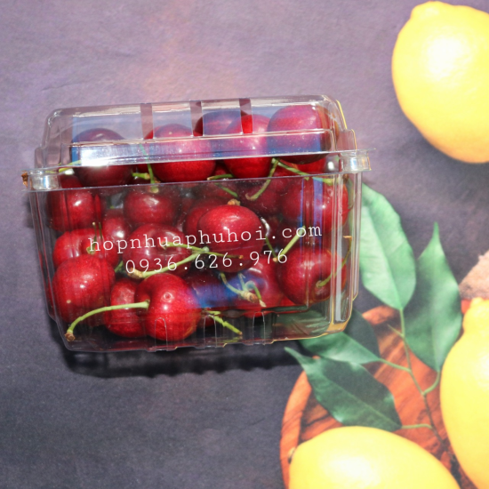 HỘP NHỰA ĐỰNG TRÁI CÂY 0,5KG P500D