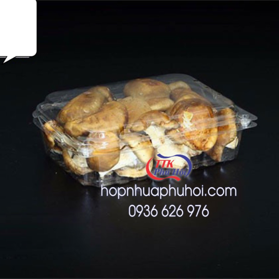 Hộp nhựa đựng nấm P500CX