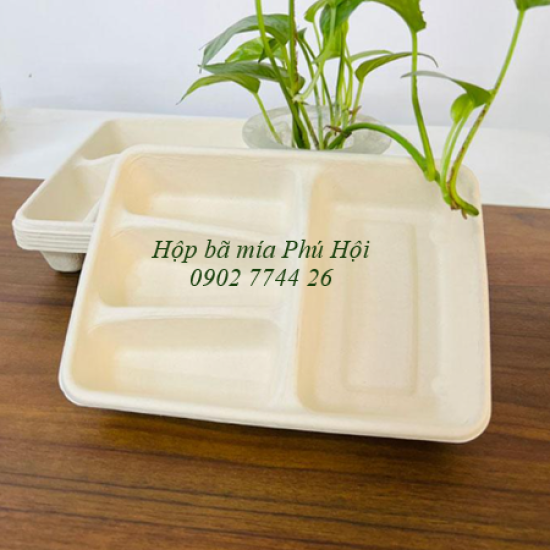 Hộp bã mía 4 ngăn nắp PET tại Quận Bình Tân TP HCM