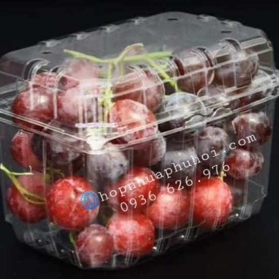 HỘP NHỰA ĐỰNG TRÁI CÂY 1KG P1000B
