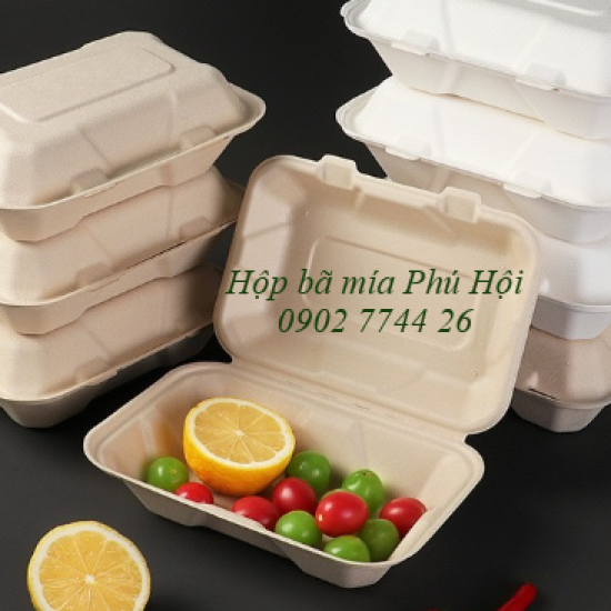 Hộp bã mía 1 ngăn nắp liền 750ml tại Quận 4 TP HCM