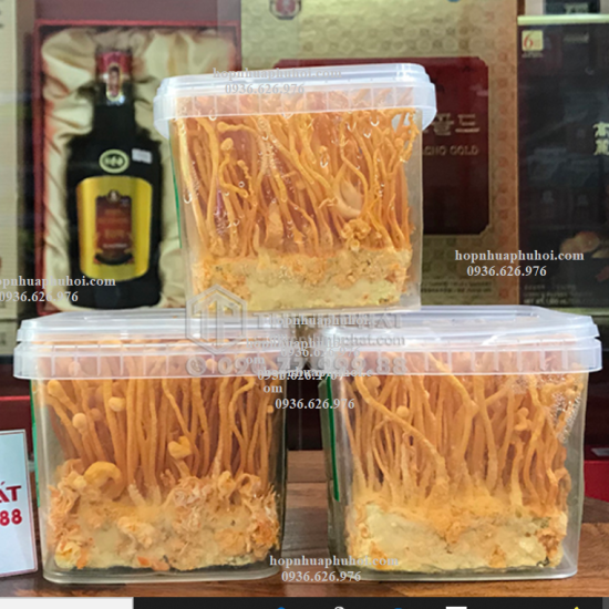 Hộp nhựa vuông đựng đông trùng hạ thảo