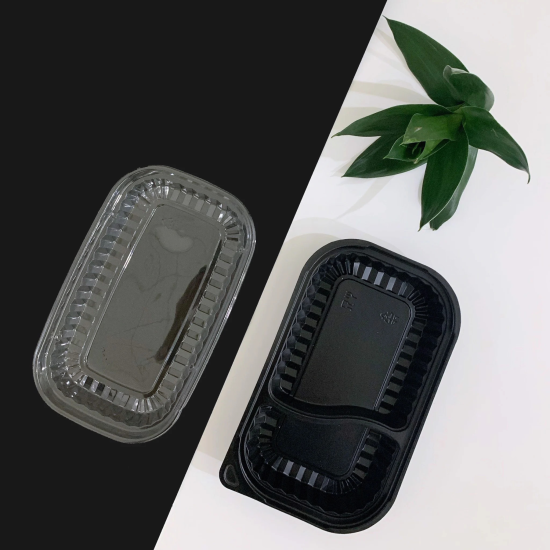 HỘP NHỰA ĐỰNG CƠM 2 NGĂN HT17