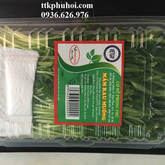 HỘP NHỰA ĐỰNG RAU MẦM