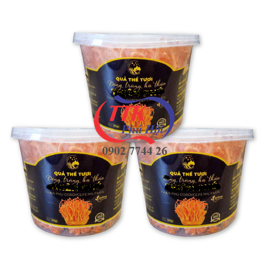 Hộp nhựa tròn đựng đông trùng hạ thảo