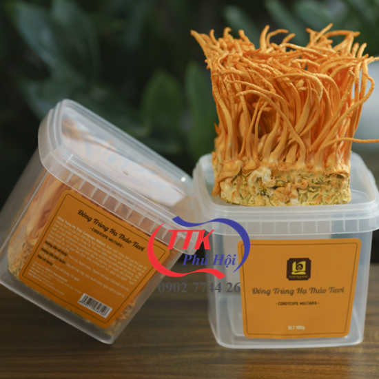 Hộp nhựa vuông trồng đông trùng hạ thảo